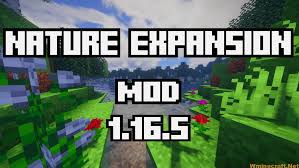 Various optional tweaks to improve minecraft quality of life. Nature Expansion Mod 1 16 5 Adding Slight Improvement And Content For All 3 Vanilla Dimensions Wminecraft Net