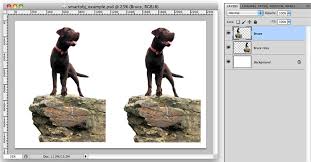 To constrain the selection to the inside of the region you click and drag over, check the constrain selection checkbox. Creating Smart Objects In Adobe Photoshop Think Tank