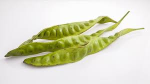 Image result for Parkia