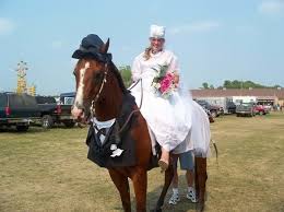 Check spelling or type a new query. Halloween Costumes For Horses Creative Ideas For Pet Costumes
