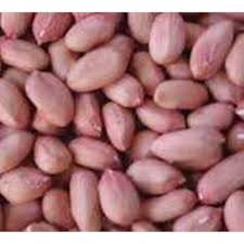 Jual almond, walnut, pistachio, kishmish kacang lentil memiliki bentuk yang khas seperti lensa. Jual Kacang Tanah Import Cv Jaya Borobudur Surabaya Indonetwork