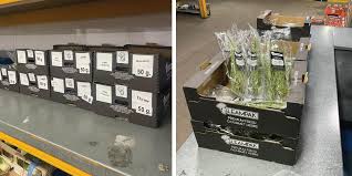 Case Study: John Palin Fresh Produce