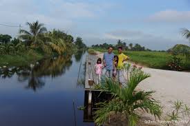 🚗 1km dari pekan sungai haji dorani 🚗 4km dari pekan sungai besar. Kampung Dorani Malaysian Homestay Adventures With Family