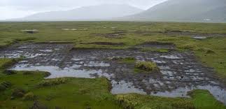 The town grew up around fort (fuerte) federación, founded in 1827 to. Lake Junin Protection And Sustainable Use Of High Andean Ecosystems Birdlife