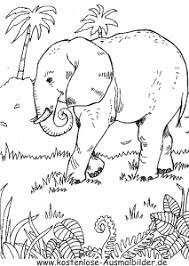 Ausmalbild Elefant Im Dschungel 1 Zum Ausdrucken