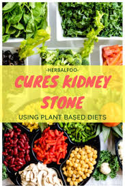 Pin By Mi Hɛℓℓɛ Fuℓℓmɛℛ On Kidney Stone Diet In 2020 Plant Based Diet Kidney Stone Diet Nutrition Recipes