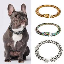 One way to determine the ancestry of your mixed breed is through a dna test. French Bulldog Chain Collar Stainless Steel 18k Gold Plated Frenchie Shop