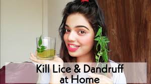 For lice which is a healthy cooking oil in every household is an excellent hair smothering and conditioning agent. Get Rid Of Lice Dandruff Rs 2 At Home Youtube