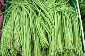Seperti pada tanaman sayur kacang panjang, jenis hama yang banyak menyerang tanaman kacang panjang adalah ulat penggerek dan kutu daun. Jenis Jenis Kacang Panjang Yang Mudah Ditemui Di Pasaran Artikel Pertanian Terbaru Berita Pertanian Terbaru