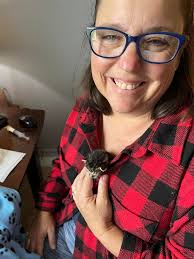 Adoption Update: Poe (now Bejou) "WE LOVE HIM! Bejou was adopted along with  Blue and Belle, two kittens who are brother and sister. Bejou was separated  from his sister right before we