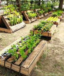 The Most Perfect Raised Garden Beds Made Out Of Pallets 1001 Pallets Diy Raised Garden Vegetable Garden Raised Beds Building A Raised Garden