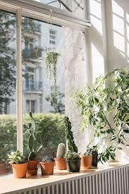 Zeig Mir Dein Fensterbrett Schweizer Illustrierte Zimmerpflanzen Ideen Zimmerpflanzen Gartengestaltung