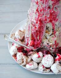 South african desserts south african dishes south african recipes africa recipes delicious desserts dessert recipes yummy food cake south african melktert (milktart) with graham cracker crusts, milk, cake flour, white sugar, vanilla extract, almond extract, salt, eggs, margarine. South African Christmas Dessert Tower Of Ice Cream With Berries And Meringue Review