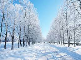 Questi sono ad alta risoluzione inverno tappo di bottiglia immagini. Tema Sull Inverno Scuolissima Com