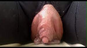 XNXX.com