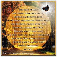 The Best Remedy For Those Who Are Afraid Lonely Or Unhappy Is To Go Outsides Somewhere Where They Can Be Quiet Alone With The Heavens Nature Abd God Because Only Then Does