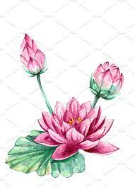 Pink And Purple Water Lily Lotus Lily Flower Tattoos Water Lily Tattoos Lily Tattoo Design