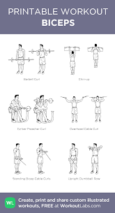Free Printable Workouts Custom Routine Builder - Workoutlabs Bicep And Tricep Workout Printable Workouts Arm Workout Men