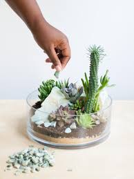 Covered glass containers will need less watering — every two weeks or so with regular lid opening to containers can be as low as 3 inches tall. How To Make A Tabletop Succulent Terrarium Diy Network Blog Made Remade Diy