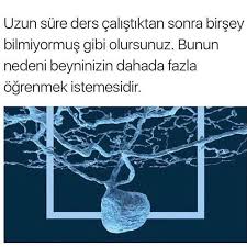 Zeynep Can Adli Kullanicinin Motivasyon Panosundaki Pin Psikolojik Gercekler Biliyor Muydunuz Gercekler