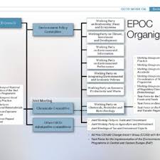 Oecd Organizational Chart Of The Environment Policy