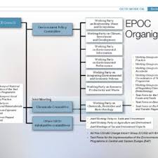 oecd organizational chart of the environment policy