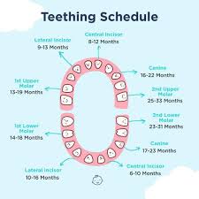 Image result for Teething