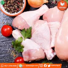Check spelling or type a new query. Ayam Dada Paha Sayap Harga Berat Grosir Ayam Yogya
