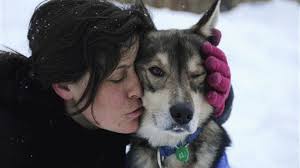 PHOTOS: Dogs of the Iditarod