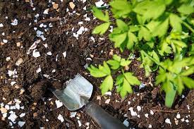 How else could you combine sunshine, exercise, the joy of watching things grow, and the added bonus of some delicious vegetables for your table? Dirty Secrets 9 Ways To Improve Garden Soil Gardenista