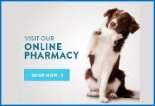 Maybe you would like to learn more about one of these? Introducing The Honest Kitchen Free Sample Bundle Synergy Integrative Veterinary Clinic