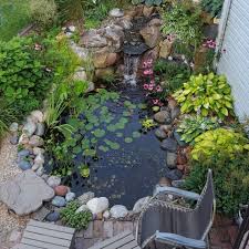 Fish ponds definitely add beauty to any garden or to any house, in general. 2018 Water Garden Tour Gallery Minnesota Water Garden Society