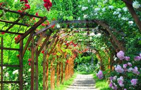 Doriti o cotatie de pret gratuita pentru un bilet de avion, cazare sau poate chiar o vacanta personalizata? Cele Mai Frumoase Locuri Pe Care Le Poti Vizita Intr Un Weekend Prelungit In Iasi Jurnal De Calatorii