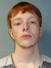 Teen sobs in court as he's sentenced for killing his friend... despite  telling cops he WANTED to commit homicide