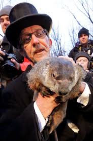 9 groundhog facts