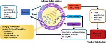 We did not find results for: Technologies And Standardization In Research On Extracellular Vesicles Trends In Biotechnology