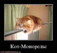 Кот-Монорельс » Демотиваторы картинки, фото. Создать демотиваторы