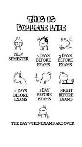 13 Funny Inspirational Quotes For College Students Brian Quote