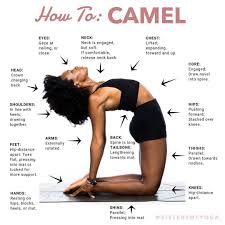 Sistersofyoga Soytutorial Benefits Of Came Yoga Benefits Ashtanga Yoga Yoga Help