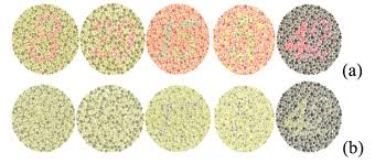 ishihara color test plates 2 3 6 and plate 10 is shown