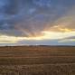 Harvest Classic — Colorado, Wyoming, and Nebraska Stock Horse