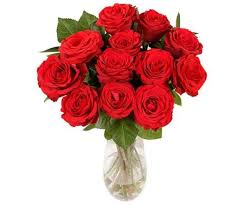 Dozen Red Roses Gift Wrap Red Rose Bouquet Red Flower Bouquet Red Flower Arrangements