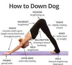 Maybe you would like to learn more about one of these? 5 Benefits Of Downward Facing Dog Yoga Pose