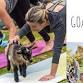 10 am Goat Yoga at the L.A. Arboretum event image