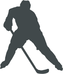 Ice Hockey Inline Hockey And Roller Hockey Gear Shop