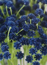 Babies breath flowers & stems artificial gypsophil fake flower pearl spray craft. Blue Baby S Breath Bush Artificial Wedding Flowers Afloral Com Dark Blue Flowers Artificial Flowers Artificial Flowers Wedding