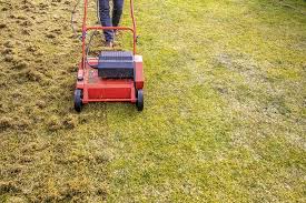 In this video i'll be showing you how to dethatch and overseed a lawn using the greenworks dethatcher. When To Dethatch Bermuda Grass And How Often Should You Do It Pepper S Home Garden