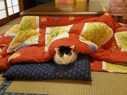 Japanese Style Kotatsu Heated Tables Japanese Table Japanese Inventions Kotatsu Table