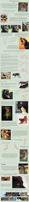 Dog Anatomy Tutorial 4 By Sleepingdeadgirl On Deviantart Dog Anatomy Anatomy Tutorial Canine Art