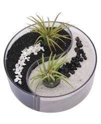 Yin Yang Desktop Zen Garden Terrarium Miniatur Zengarten Gartenterrarium Mini Garten